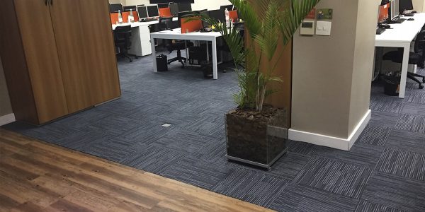 Carpetes para escritório